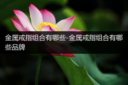 金属戒指组合有哪些-金属戒指组合有哪些品牌