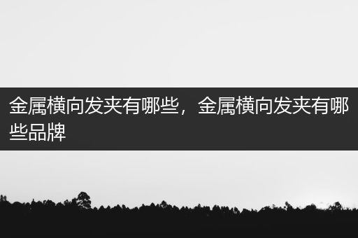 金属横向发夹有哪些，金属横向发夹有哪些品牌