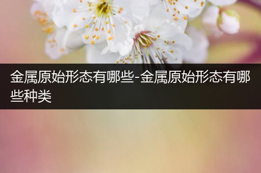 金属原始形态有哪些-金属原始形态有哪些种类