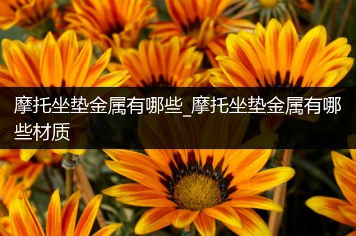 摩托坐垫金属有哪些_摩托坐垫金属有哪些材质