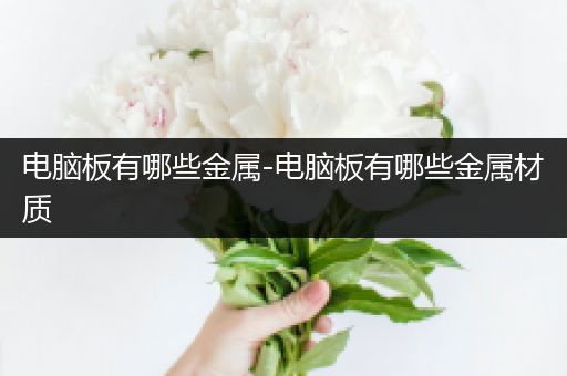 电脑板有哪些金属-电脑板有哪些金属材质