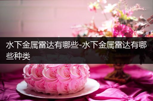 水下金属雷达有哪些-水下金属雷达有哪些种类
