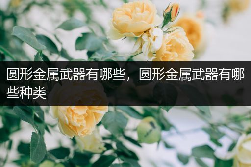 圆形金属武器有哪些，圆形金属武器有哪些种类