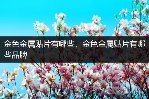 金色金属贴片有哪些，金色金属贴片有哪些品牌