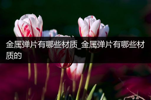 金属弹片有哪些材质_金属弹片有哪些材质的