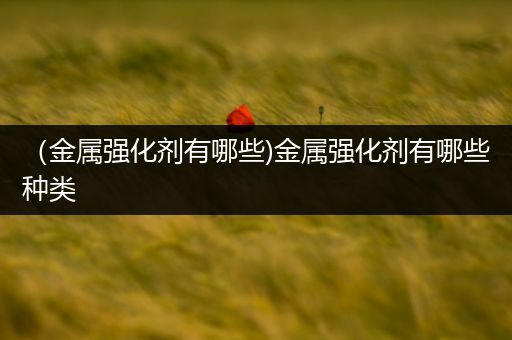 （金属强化剂有哪些)金属强化剂有哪些种类