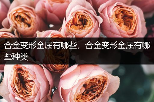 合金变形金属有哪些，合金变形金属有哪些种类
