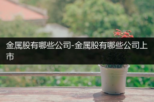金属股有哪些公司-金属股有哪些公司上市