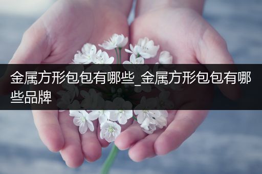 金属方形包包有哪些_金属方形包包有哪些品牌