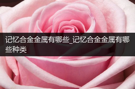 记忆合金金属有哪些_记忆合金金属有哪些种类