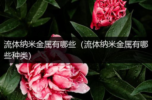 流体纳米金属有哪些（流体纳米金属有哪些种类）