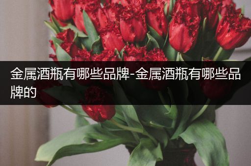 金属酒瓶有哪些品牌-金属酒瓶有哪些品牌的