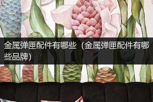 金属弹匣配件有哪些（金属弹匣配件有哪些品牌）
