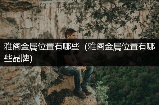 雅阁金属位置有哪些（雅阁金属位置有哪些品牌）