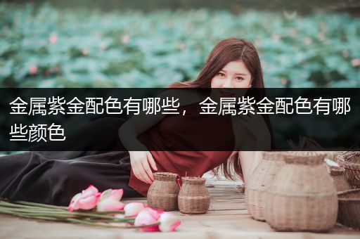 金属紫金配色有哪些，金属紫金配色有哪些颜色